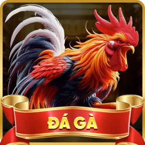 Đá Gà Trực Tuyến MCW77