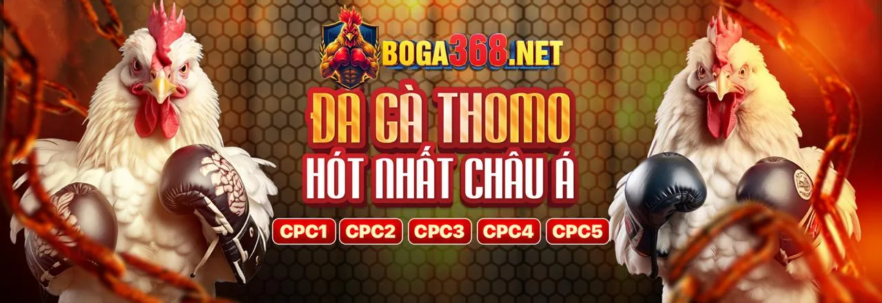 Đá gà trực tuyến MCW77
