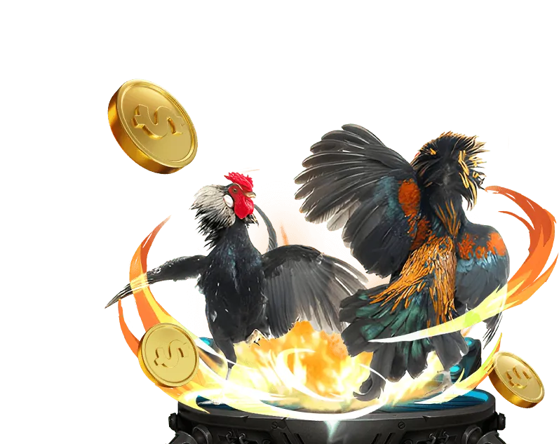 Cá cược đá gà mcw77 casinomcw-vn tại Hi88